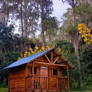 https://pinar-del-valle.comcaribbean.com