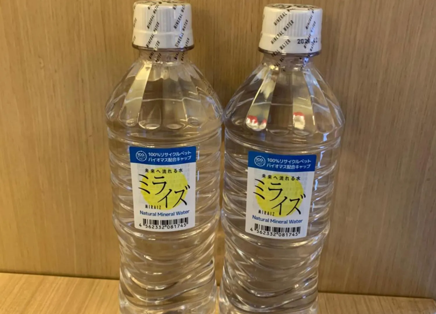 Hotel Monterey Kyoto